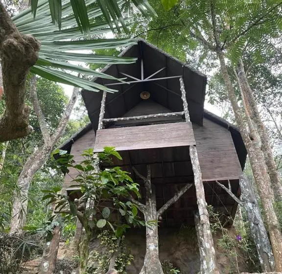 Standard-huone, Panchavadi Farm Stay