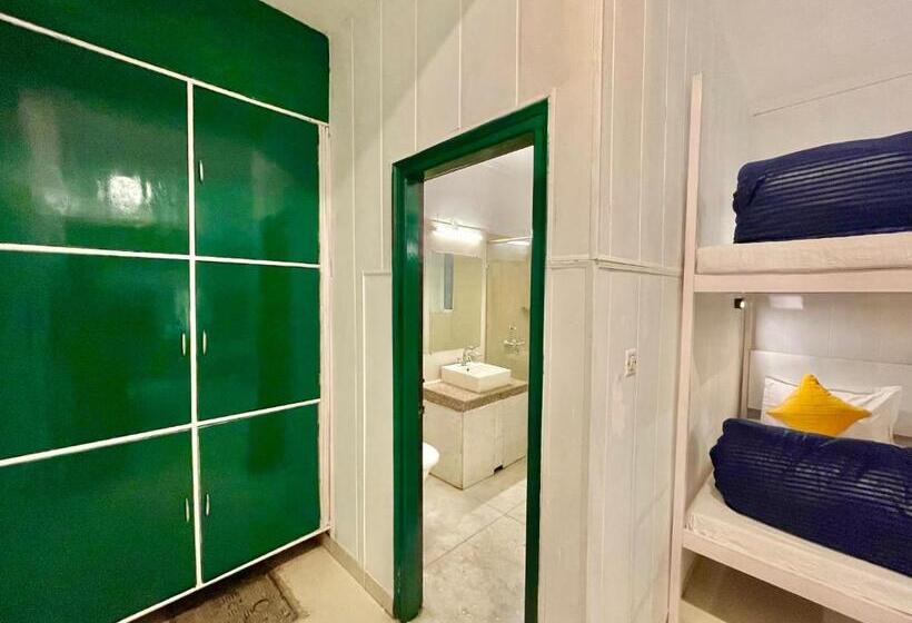 מיטה בחדר משותף, The Wraveler Tapovan Rooms And Dorms