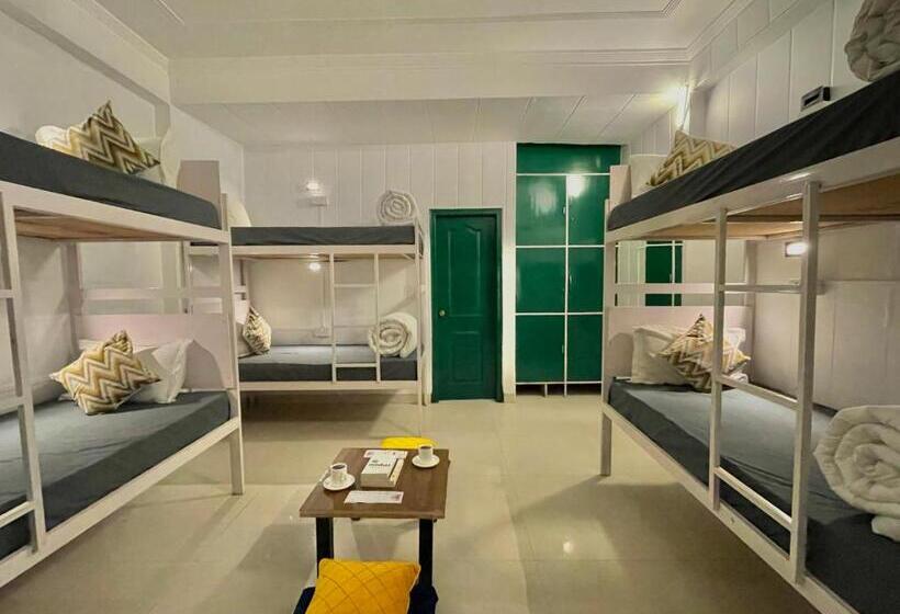 מיטה בחדר משותף, The Wraveler Tapovan Rooms And Dorms