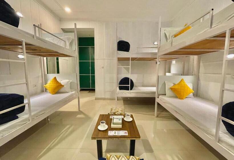 מיטה בחדר משותף, The Wraveler Tapovan Rooms And Dorms