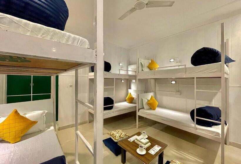 מיטה בחדר משותף, The Wraveler Tapovan Rooms And Dorms