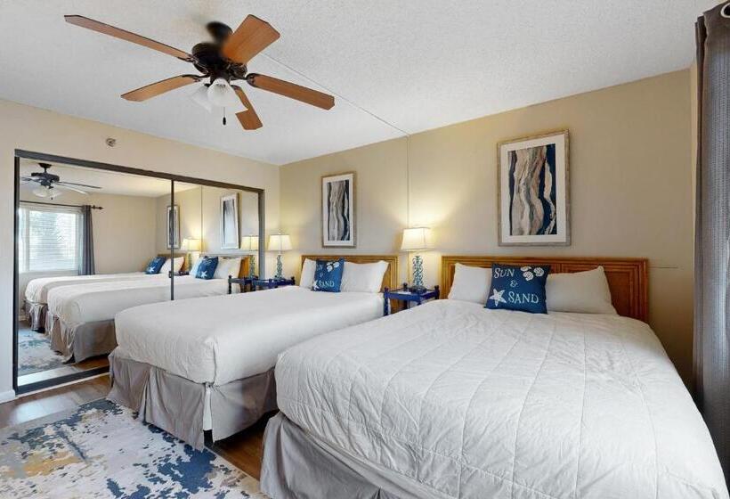 شقة غرفة واحدة, Surf Dweller 211