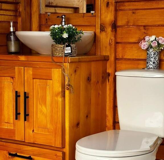Номер Стандарт с Гидромассажем, Glamping Shalom