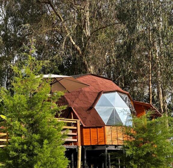 Номер Стандарт с Гидромассажем, Glamping Shalom