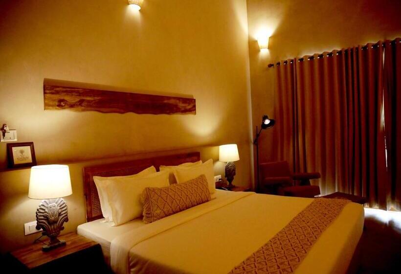 Quarto Estandar, The Jungle Brook