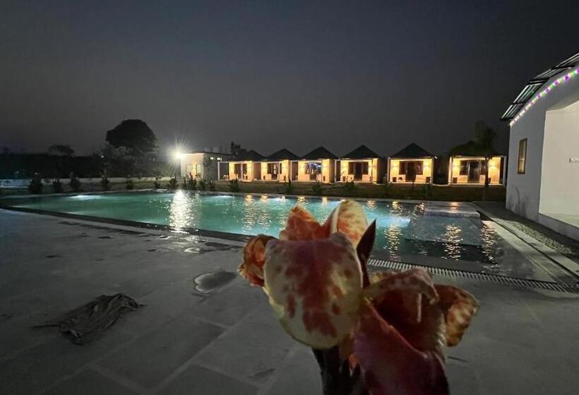 スタンダードルーム, Wild Planet Corbett Hotel And Resort