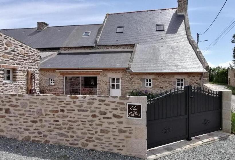 غرفة عائلية, L Tas De Cailloux