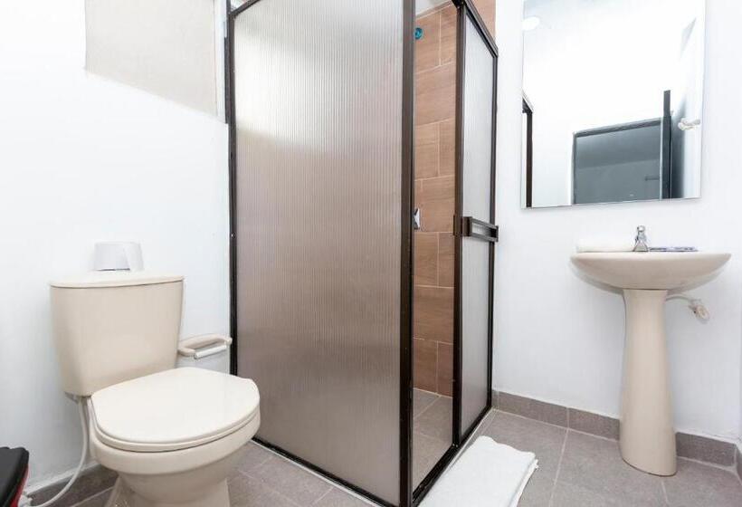 חדר דלוקס, De León Estadio