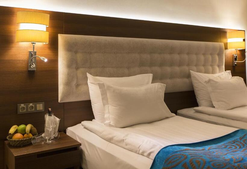 اتاق استاندارد, Teymur Continental