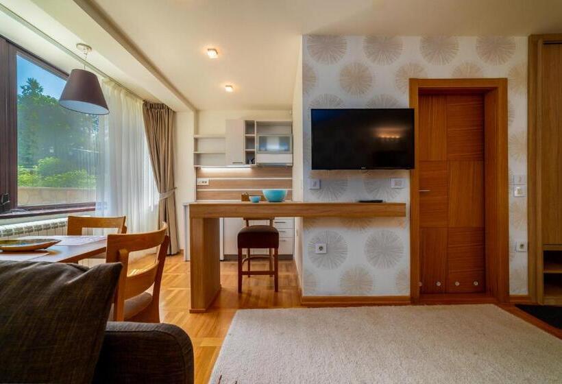 شقة غرفة واحدة ذات إطلالة, Vila Valentina