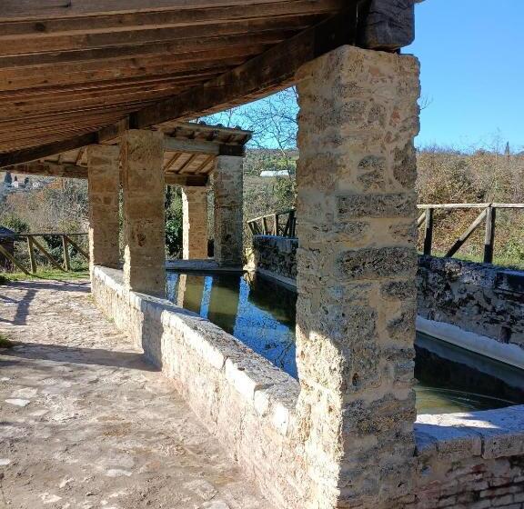 דירת חדר, Fonteliving