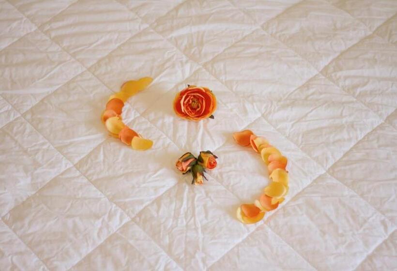 سوییت جونیور لوکس, Arezzo Asc