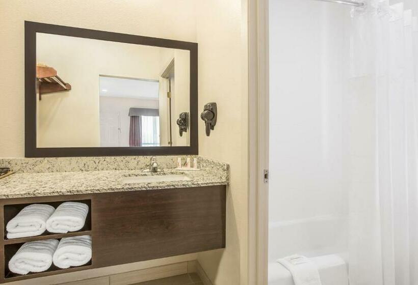 غرفة قياسية سرير كينج, Days Inn By Wyndham Bryan