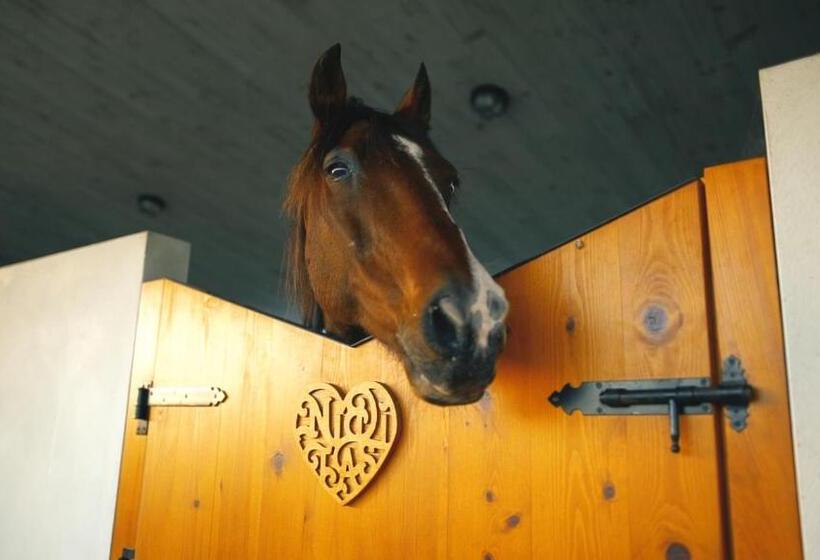 キングサイズベッドのスタンダードルーム, Hospedaje Villa Pilar