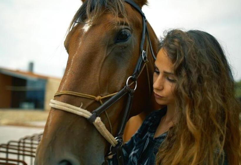 キングサイズベッドのスタンダードルーム, Hospedaje Villa Pilar