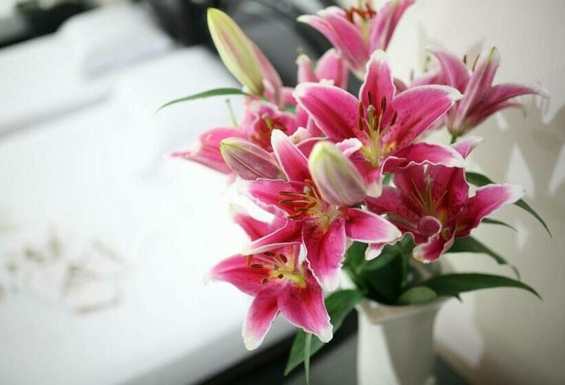 اتاق استاندارد سه نفره, Kim Khoi