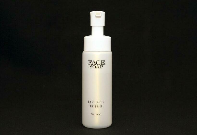 חדר אקונומי יחיד, Smile Hotel Yonago