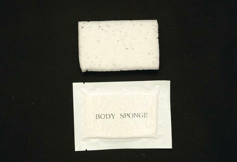 חדר אקונומי יחיד, Smile Hotel Yonago