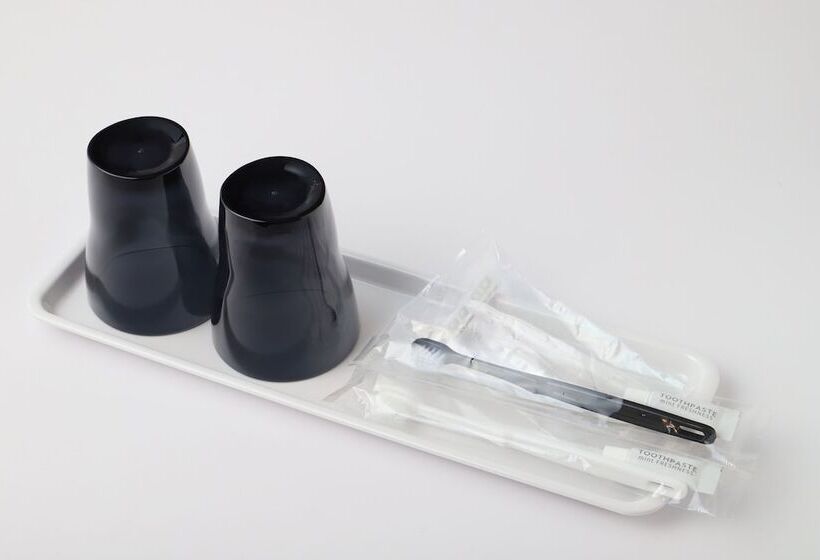 חדר אקונומי יחיד, Smile Hotel Yonago