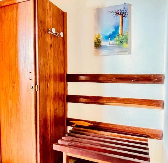 Camera Standard, Le Nouvel Eden