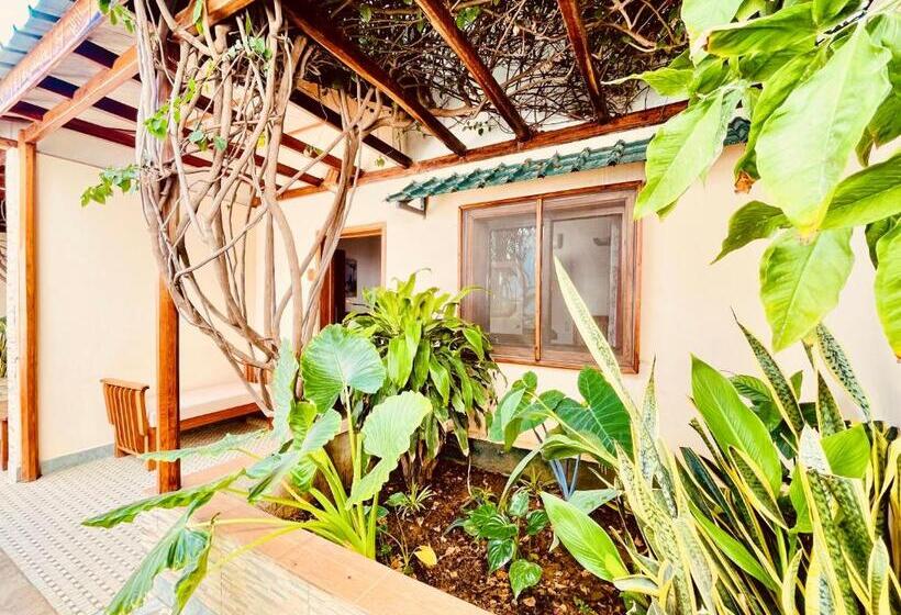 Camera Superiore, Le Nouvel Eden