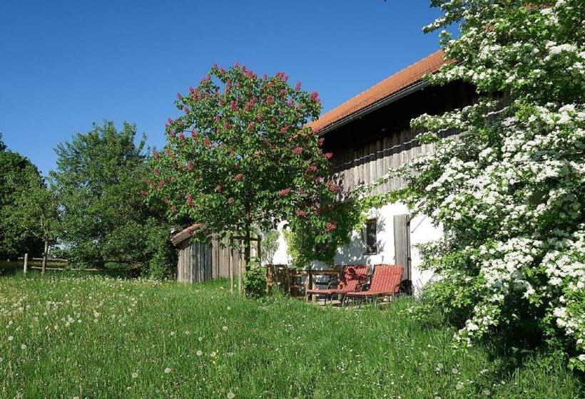 Апартаменты 1 Спальня с Террасой, Ponzaunerhof