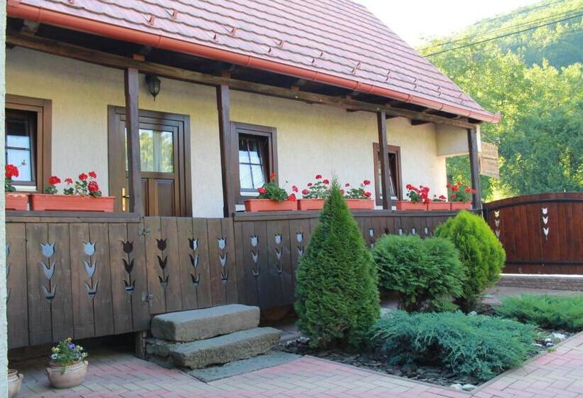 침실 1개 주택, Zsuzsanna Paraszthaz