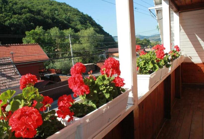 스탠다드 룸, Zsuzsanna Paraszthaz