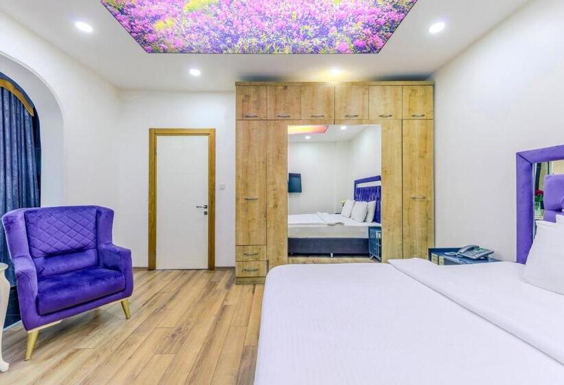 شقة سوبريور غرفة واحدة, Sisli Form