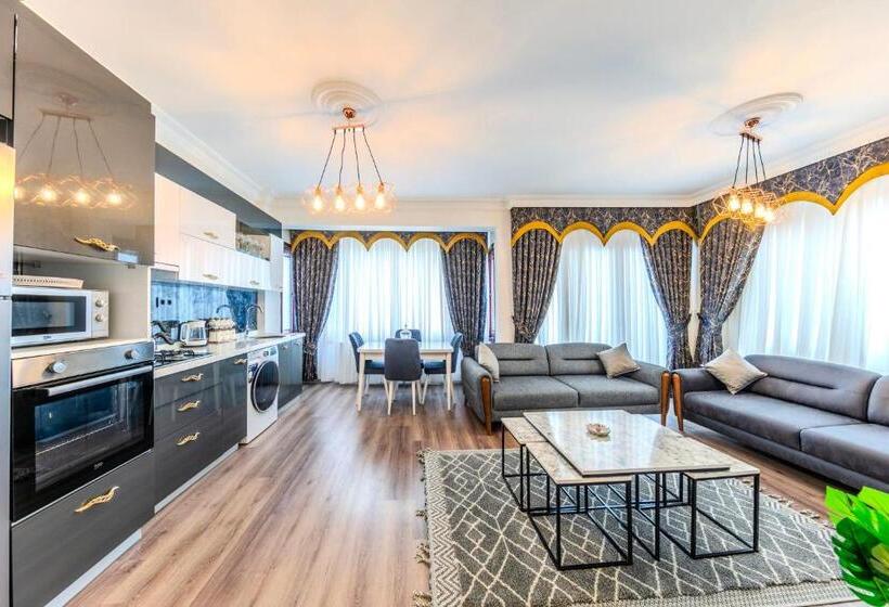 شقة غرفة واحدة, Sisli Form