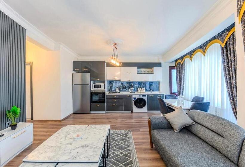 شقة غرفة واحدة, Sisli Form