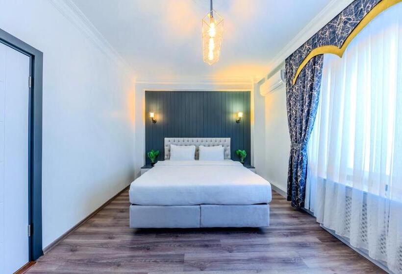 شقة غرفة واحدة, Sisli Form