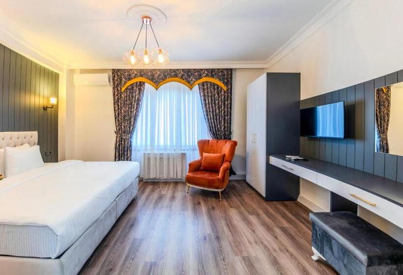 شقة غرفة واحدة, Sisli Form