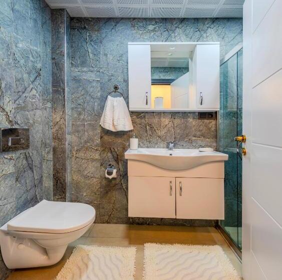 شقة غرفة واحدة, Sisli Form