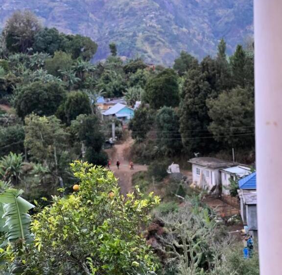 اتاق استاندارد با چشمانداز کوهستان, O T On The Rise