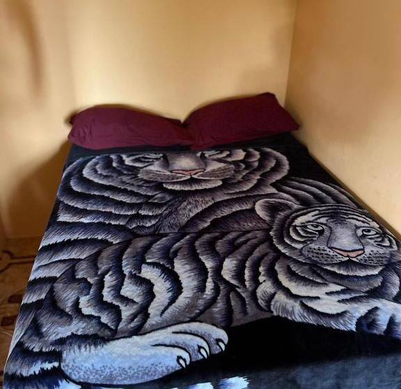 اتاق استاندارد, O T On The Rise