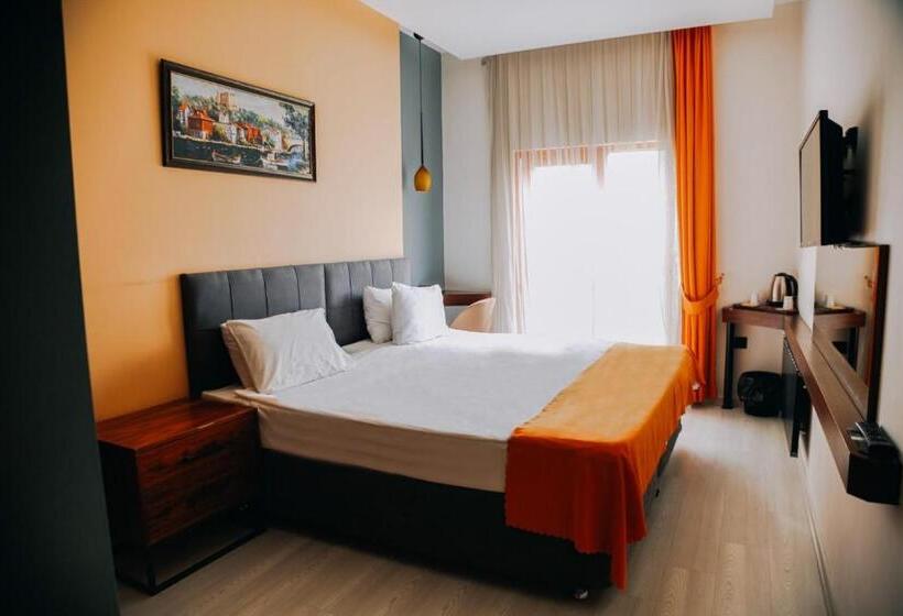 标准单人间, D&D