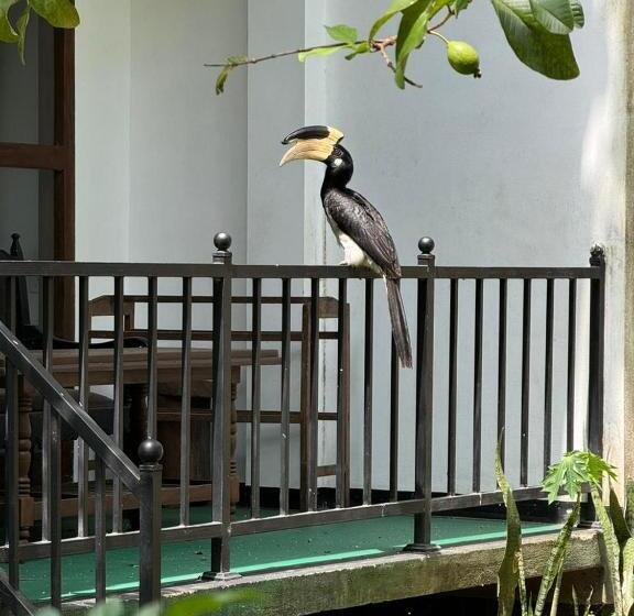 Familjerum Trädgårdsutsikt, Elite Safari Resort