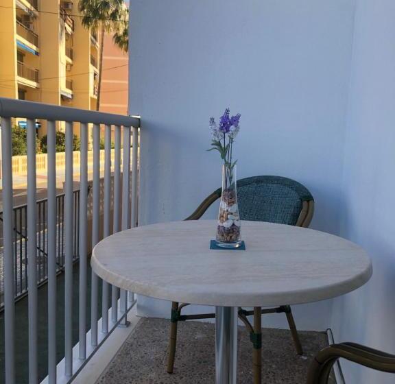 스탠다드 테라스 룸, The Corner Of Dreams