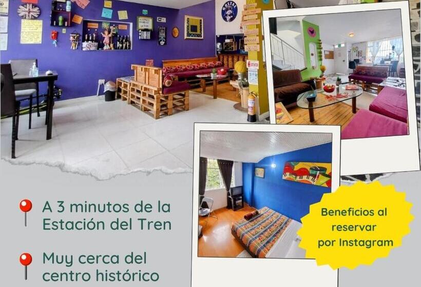 基本三人间, Zipa Hostel