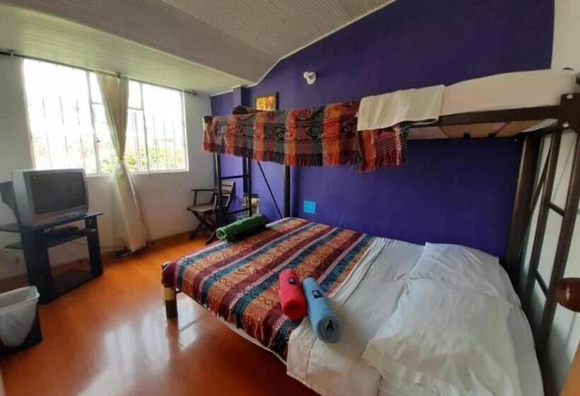 基本三人间, Zipa Hostel