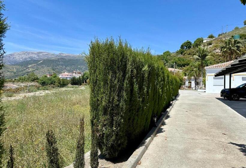 Номер Deluxe Вид на Море, Bed & Breakfast Casa Del Palta