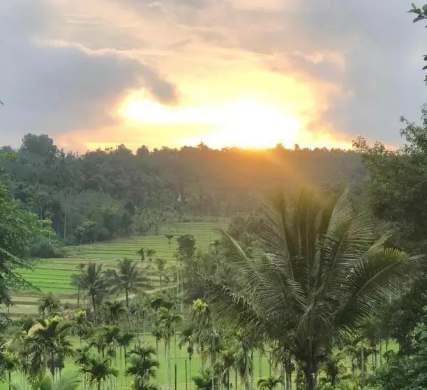 Deluxe Room Mountain View, Angels Nest Home Stay 2 Acra Private Plantation Balconey Sunrice View Near Ngarhole Wild Life , Kuru