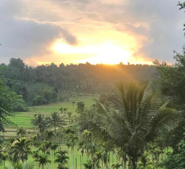 标准间带山景, Angels Nest Home Stay 2 Acra Private Plantation Balconey Sunrice View Near Ngarhole Wild Life , Kuru