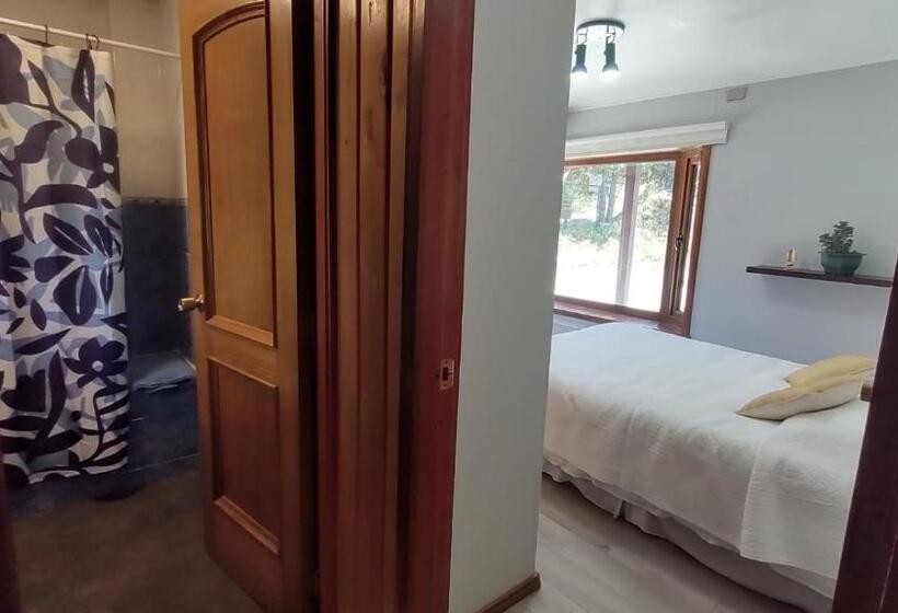 اتاق استاندارد, Canales Del Sur 2