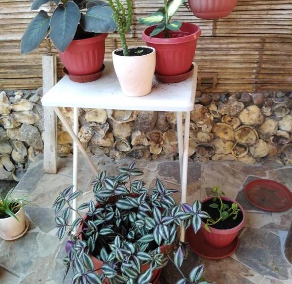 חדר סטנדרט, Hospedajesperú