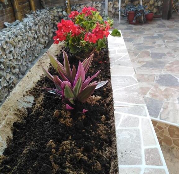 חדר אקונומי, Hospedajesperú