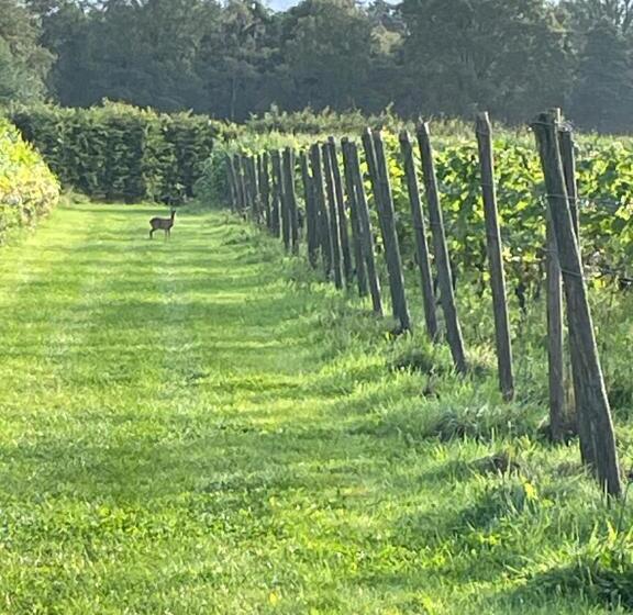 スタンダードルーム, Erve Zonnehoeve