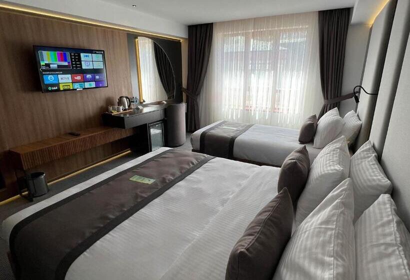 غرفة قياسية, Sera Lake Center