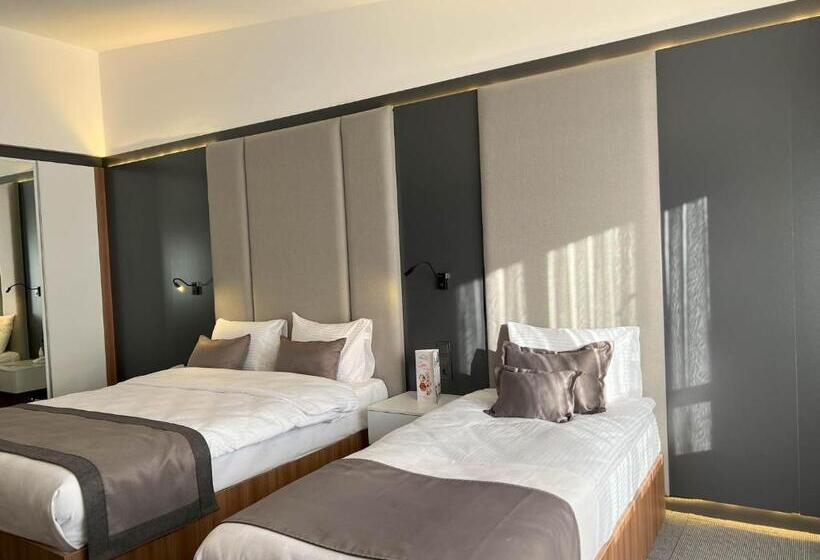 غرفة قياسية, Sera Lake Center